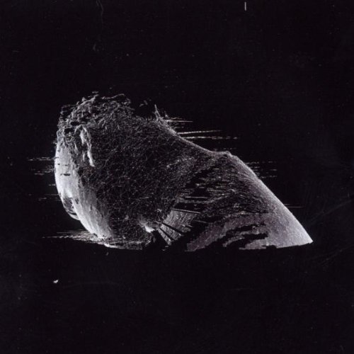 Coldplay - The Scientist [Single] - Zortam Music