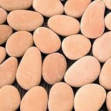 Solistone River Rock Dawn 12 x 12 Inch Natural Stone Pebble Mosaic Floor Wall Tile (One Sheet Only)