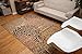 Feraghan/New City Contemporary Modern Floral Flowers Area Rug, 4' x 6', Brown/Beige