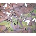 14ftx7ft Genuine Army Camouflage Netting - Military Camo Net