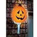 Sparkling Pumpkin Porch Light Cover (1 count)