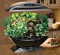 AeroGarden&trade; Starter Kit with Bonus
