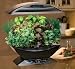 AeroGarden&acirc;&cent; Starter Kit with Bonus (BLACK)