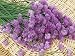 Chive Flowers in a Basket (Allium Schoenoprasum) Photographic Poster Print by Wally Eberhart, 12x16
