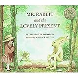 mr rabbit and the lovely present
