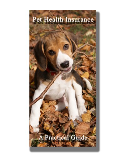 Pet Health Insurance A Practical Guide