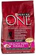 Purina One Smart Blend Healthy Puppy Formula Dog Food, 4-Pound Bags (Pack of 6)