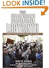 The Iranian Labyrinth: Journeys Through Theocratic Iran and Its Furies