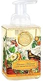 Michel Design Works Foaming Hand Soap, 17.8-Ounce, Autumn Harvest