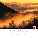 Natur und Musik II (Nature & Music II) - Entspannungsmusik mit Naturger�uschen: Wind, Regen, V�gel, Gewitter ...von "Santec Music Orchestra"