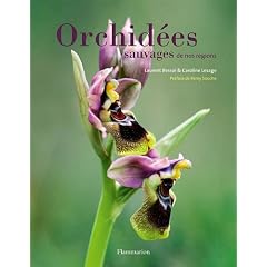 Orchid�es sauvages de nos r�gions