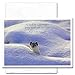 New Year Cards-New Eyes 10 Cards & Env Made in USA by CroninCards