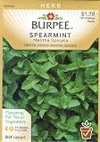 Burpee 66175 Herb Spearmint Seed Packet