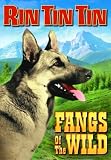 Rin Tin Tin - Fangs Of The Wild