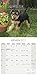 Welsh Terrier Calendar - Dog Breed Calendars 2017 - Dog Calendar - Calendars 2016 - 2017 wall calendars - 16 Month Wall Calendar by Avonside
