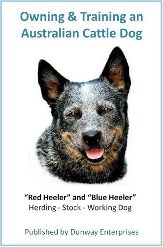 Australian Cattle Dog: 101 Owning & Training …Your future