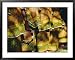 Choir, Malindi, Kenya Collections Framed Art Poster Print by Neil Emmerson, 39x31