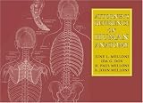 Attorney's Reference on Human Anatomy