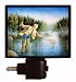 Fishing Night Light - Trout Fisherman