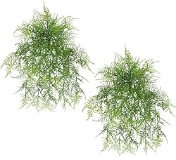 TWO 26" Artificial Asparagus Fern Grass Hanging Bushes