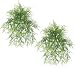 TWO 26" Artificial Asparagus Fern Grass Hanging Bushes
