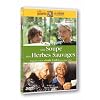 Une soupe aux herbes sauvages