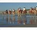 Photographic Prints of Camel rides, Cable Beach, Broome, Kimberley, Western Australia, Australia, from Robert Harding