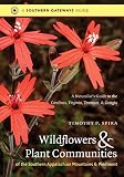 Southern Appalachian celebration : in praise of ancient mountains, old-growth forests, & wilderness