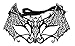 Maskette Women's Bat, Black, One Size