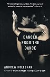 Dancer from the Dance: A Novel