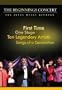 The Beginnings Concert