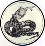 Terra Firma [DISC 2] [7" VINYL]