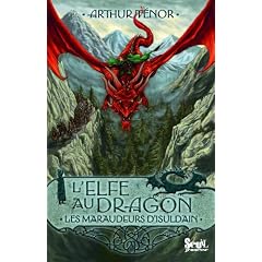 Elfe au Dragon T 1 les Maraudeurs d'Isuldain