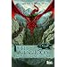 Elfe au Dragon T 1 les Maraudeurs d'Isuldain