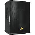2-Way Loudspeaker/Floor Monitor