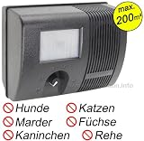 Ultraschall Vertreiber gegen Marder, Hunde, Katzen und andere Tiere mit Bewegungsmelder für Marderabwehr als Mardervertreiber und Marderschreck, Waschbärenabwehr