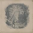vetiver