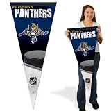 Florida Panthers Pennant: 17x40 Team Premium Pennant