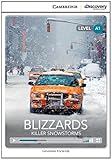 Blizzards : killer snowstorms