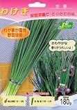 わけぎ 180g(約20球)