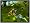 Spore (Mac/PC DVD)