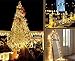 CMYK® 3 Pack Led Copper Wire Lights, 15 Micro Starry LEDs Super Bright Warm White Color Wire Rope Lights, 2 x CR2032 Batteries Included on 6.56 Ft/2M Long (Warm White)