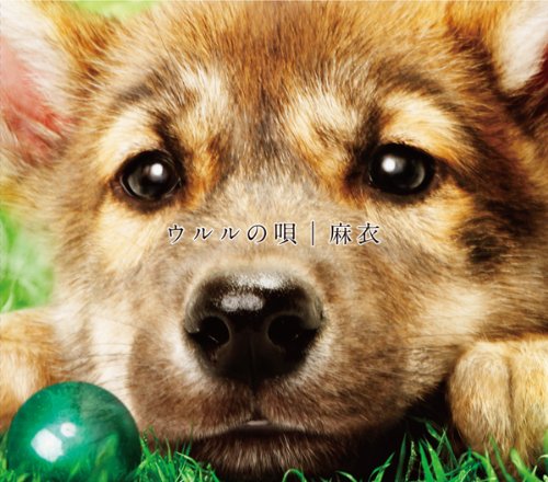 ウルルの唄 麻衣