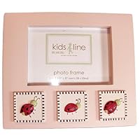 Lady Bug - Picture Frame
