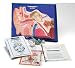 Ear Model Activity Set