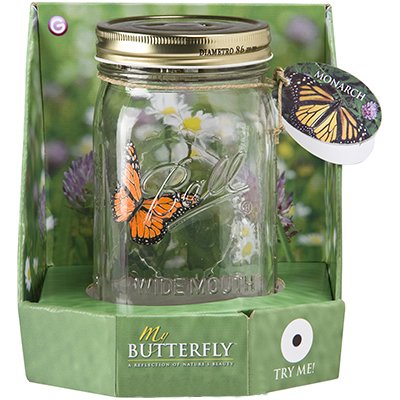 Electronic Butterfly in a Jar