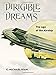 Dirigible Dreams: The Age of the Airship