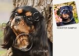 Cavalier King Charles Spaniel Dog Drink Coasters - Black & Tan