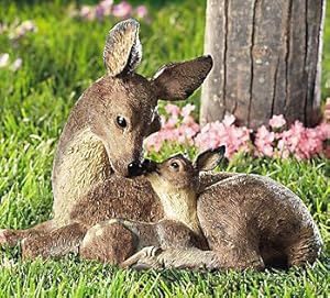 Amazon.com: Deer Doe and Fawn Lying Outdo