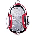 Nemesis rucksack/ backpack (sienna red) 